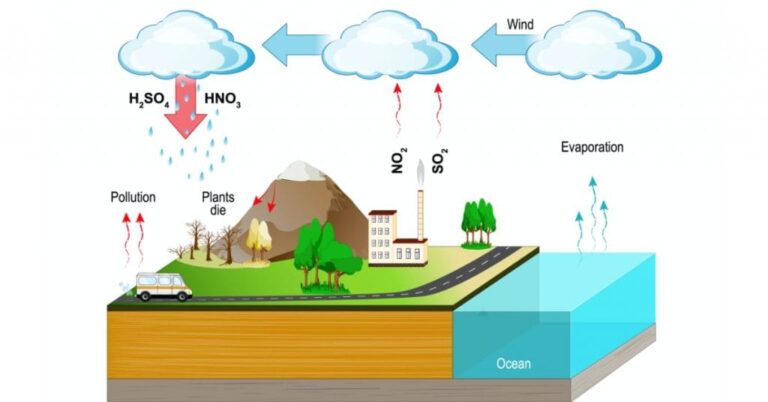 Acid Rain: Causes, Effects, and Prevention